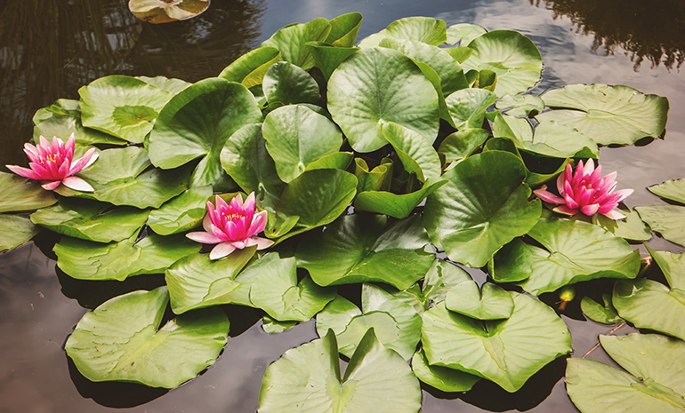 service details image